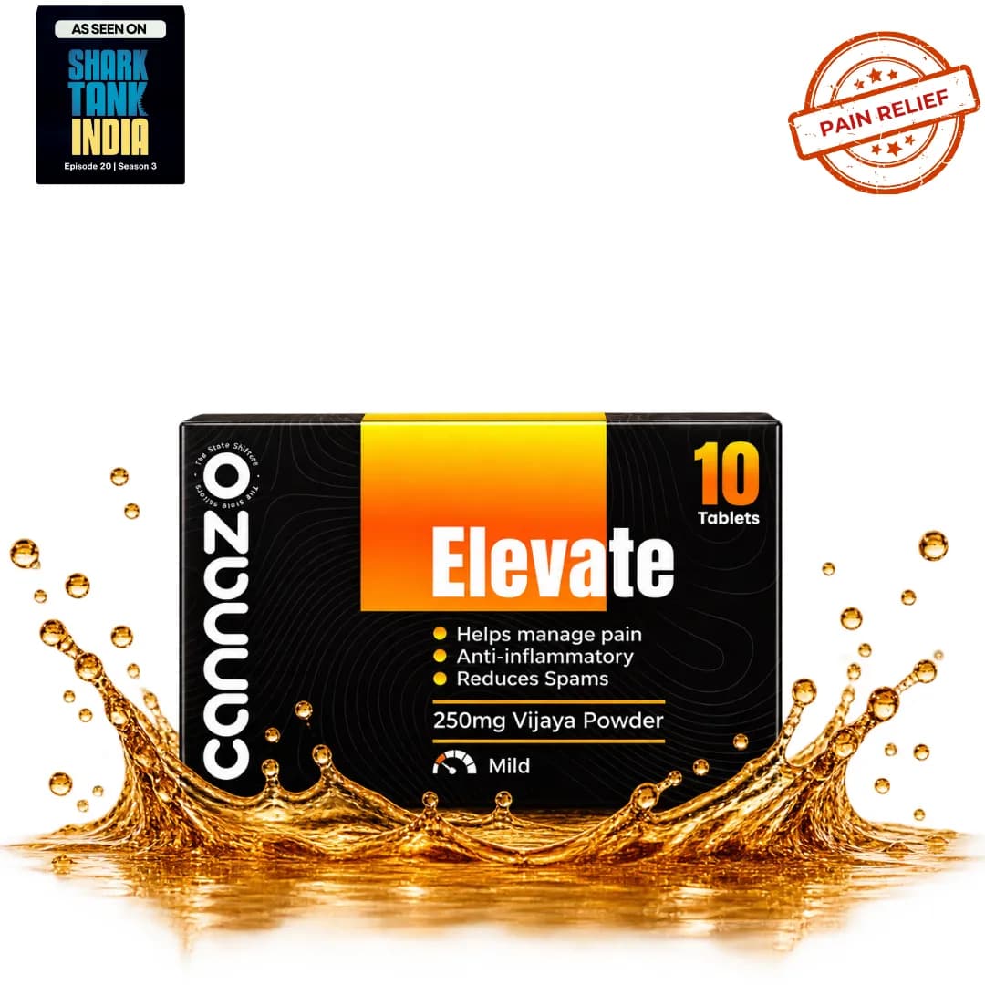 Elevate Pain Tablets | 500mg Potency | 250mg Vijaya Powder Pain Tablets – Natural Support for Mild to Moderate Pain, Joint Pain & Inflammation
