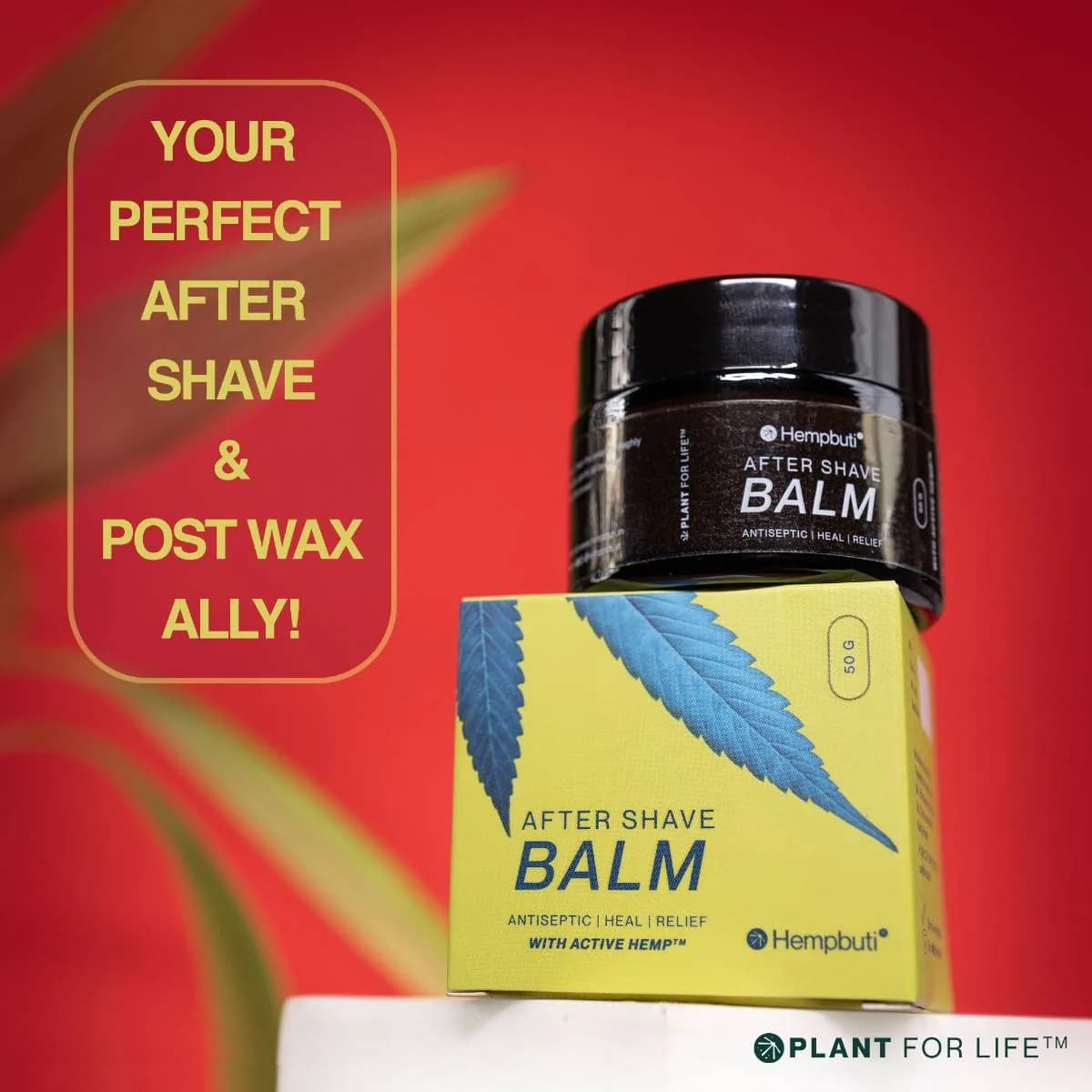 HEMPBUTI | AFTER SHAVE BALM | 50 GM