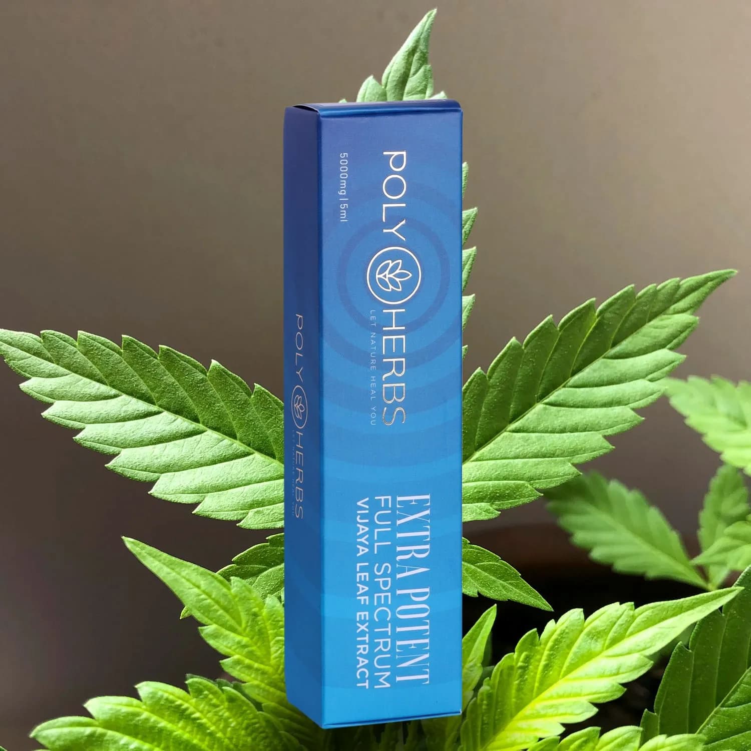 EXTRA POTENT - RSO Oil - Raw Vijaya Leaf Extract - 5000mg - 5ML - PolyHerbs